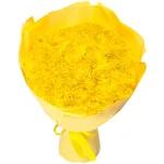 Букет из 25 желтых одноголовых хризантем