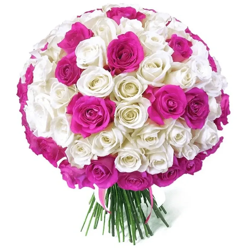Розы Россия микс бело-розовый